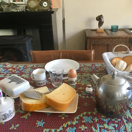 Hidden Pearl Family * Haarlem