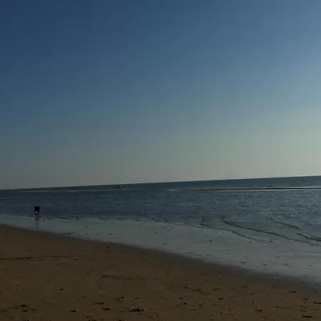 Hidden Pearl Family * Haarlem