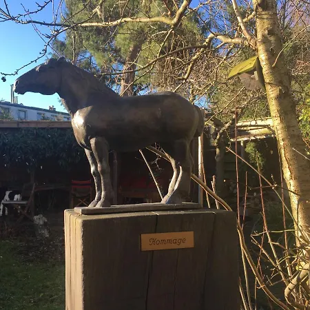 Hidden Pearl Family Oda ve Kahvaltı