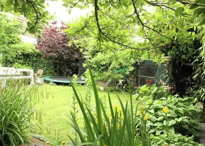 Hidden Pearl Family *