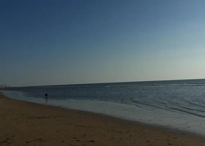 Hidden Pearl Family * Haarlem