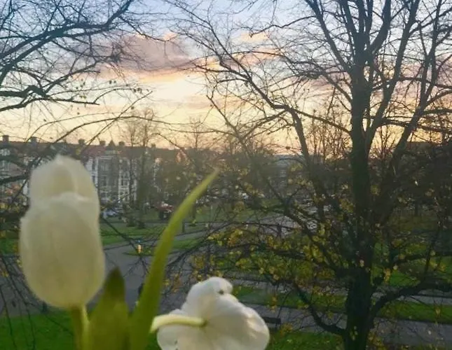 Hidden Pearl Family Haarlem