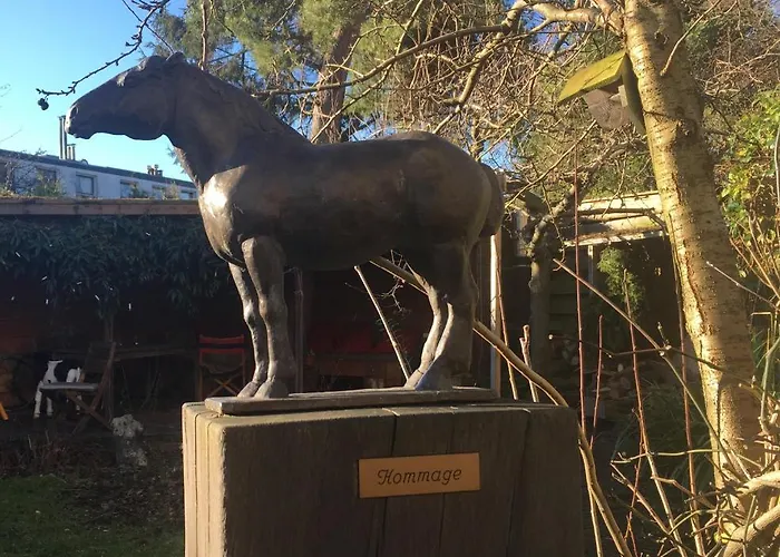 Hidden Pearl Family Bed & Breakfast