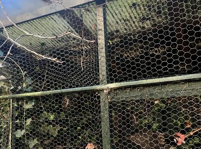 Hidden Pearl Family *