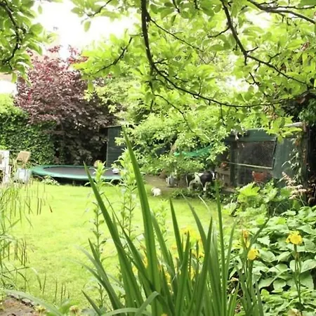 Hidden Pearl Family *